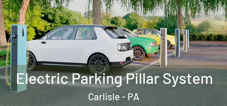  Electric Parking Pillar System Carlisle - PA