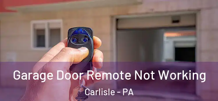  Garage Door Remote Not Working Carlisle - PA