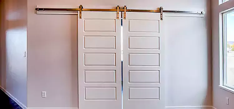 Glass Barn Door with Installation Hardware Kit Carlisle