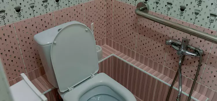 Meeting Diverse Needs With Accessible Restroom Solutions in Carlisle, PA