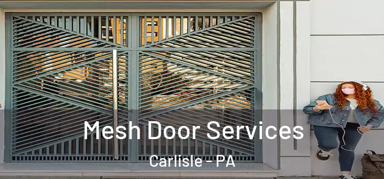  Mesh Door Services Carlisle - PA