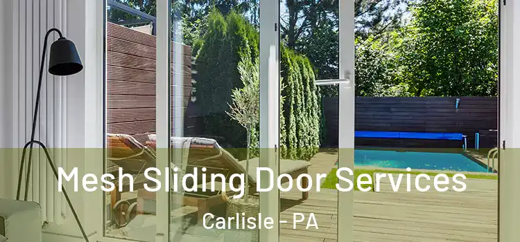 Mesh Sliding Door Services Carlisle - PA